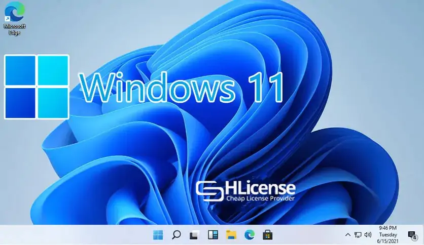 Windows 11 Professional Preactivated 2025